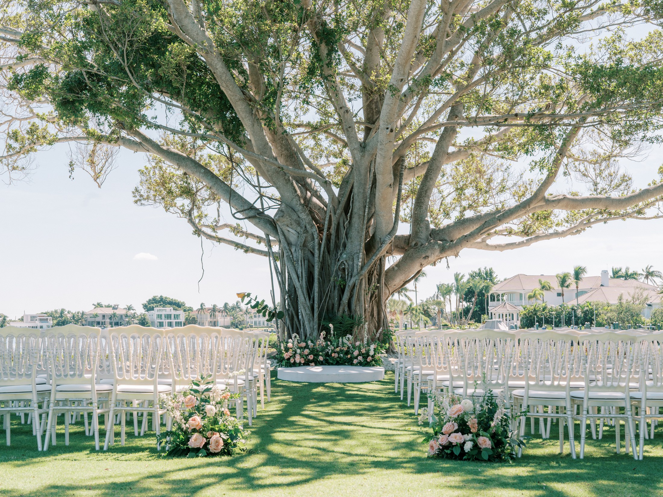 Banyan Cove wedding ceremony setup under the banyan tree at The Resort at Longboat Key Club